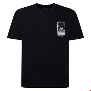 Espionage Mount Fuji Print Tee